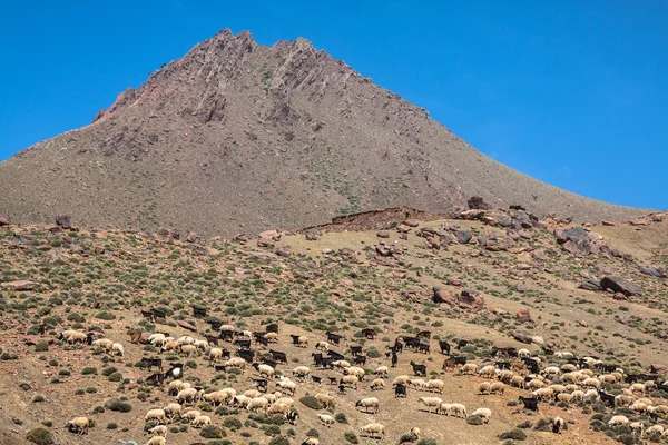 Atlas montanhas rodovia, Marrocos — Fotografia de Stock