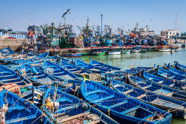ESSAOUIRA, MARRUECOS - 4 DE MAYO DE 2013: barcos de pesca azul en el puerto — Foto de Stock