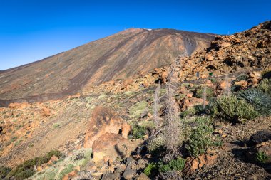 El Teide Ulusal Parkı, Tenerife, Kanarya Adaları, İspanya