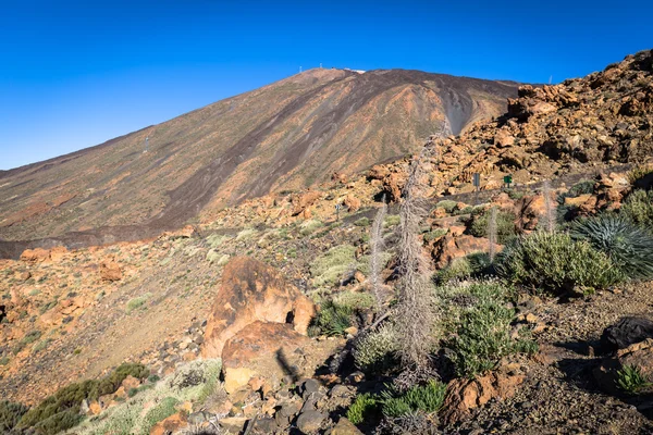 Parc national El Teide, Tenerife, Îles Canaries, Espagne — Photo