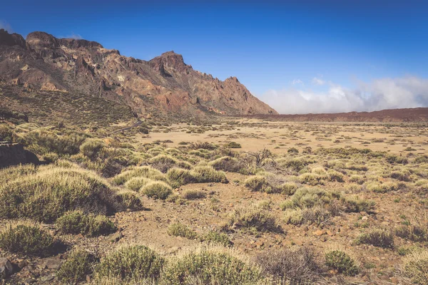 Teide National Park Roques de Garcia in Tenerife at Canary Islan — Stock Photo, Image