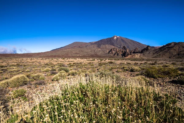 Teide Milli Parkı roques de garcia Tenerife, Kanarya adalar — Stok fotoğraf