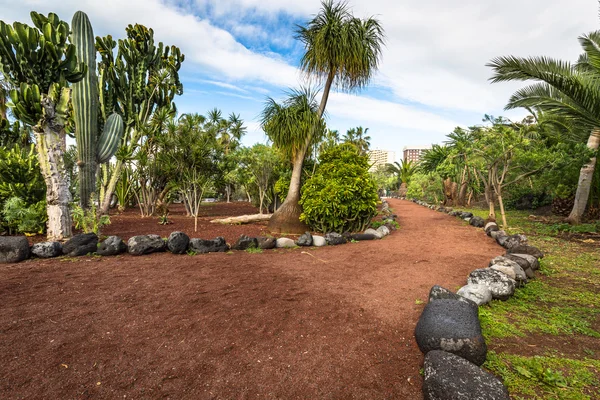 Ogród w Puero de la Cruz, Teneryfa, Wyspy Kanaryjskie, Hiszpania — Zdjęcie stockowe