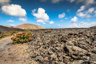Timanfaya milli parkta Lanzarote, Kanarya Adaları, İspanya