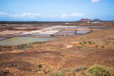 Lanzarote tuz fabrikası salinas de Janubio renkli Kanarya Adaları