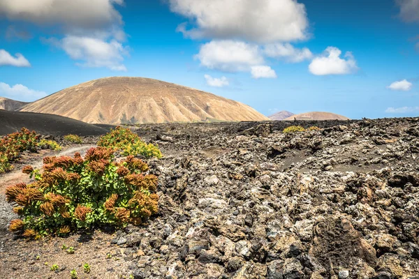 Timanfaya National Park i Lanzarote, Kanarieöarna, Spanien — Stockfoto