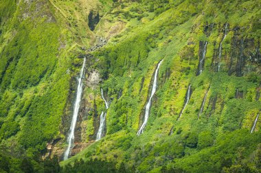 Flores Island Azores manzara. Pozo da Alagoin şelaleler