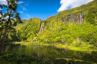 Flores Island Azores manzara. Pozo da Alagoin şelaleler