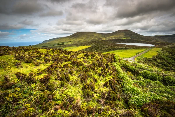 Landschap van het Indonesische eiland Flores. Azoren, Portugal — Stockfoto