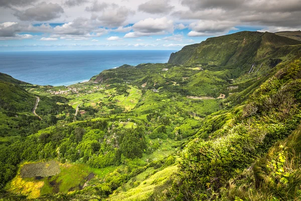 Azores kıyı şeridi manzara Faya Grande, Flores Adası. Portug — Stok fotoğraf