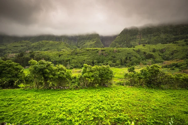 Alagoinha watervallen op Flores eiland — Stockfoto