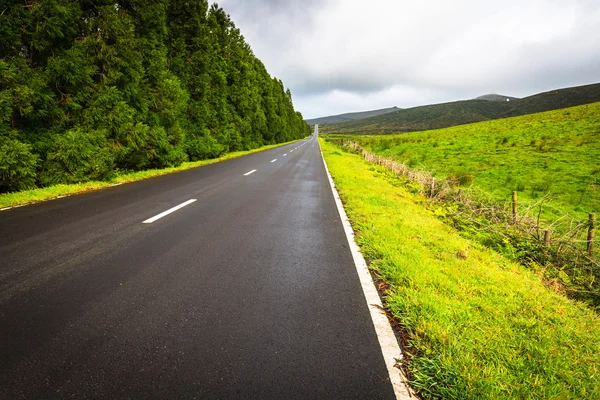 Estrada na ilha das Flores, Açores, Portugal — Fotografia de Stock