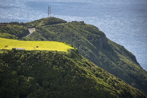 Paisagem da ilha de Flores. Açores, Portugal — Fotografia de Stock