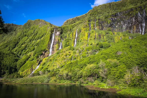 Flores Island Azores manzara. Pozo da Alagoin şelaleler — Stok fotoğraf