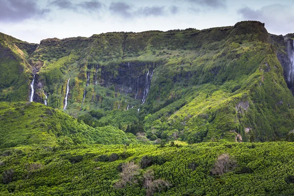 Flores Island Azores manzara. Pozo da Alagoin şelaleler — Stok fotoğraf