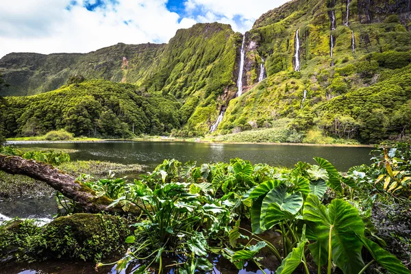 Azoren landschap met watervallen en kliffen in Flores eiland. Po — Stockfoto