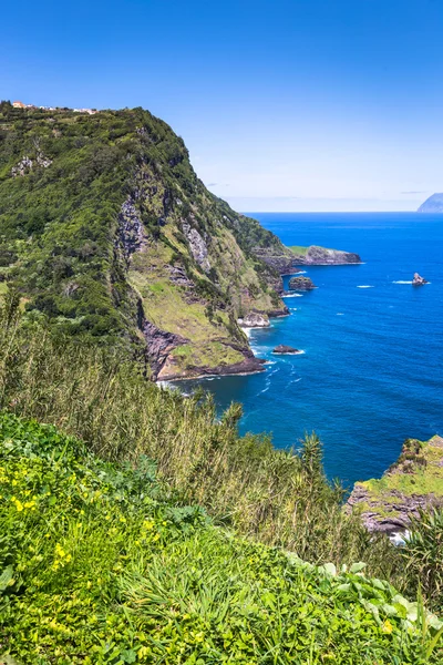 Manzara Flores Adası. Azores, Portekiz — Stok fotoğraf