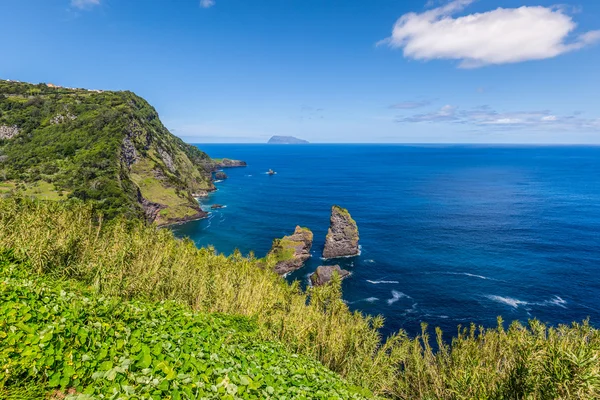 Paisagem da ilha de Flores. Açores, Portugal — Fotografia de Stock