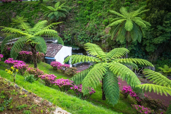 Garden on Sao Miguel island, Azores. It is located in the midst — Stock Photo, Image