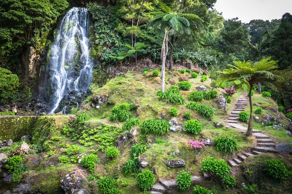 Célèbre cascade à l'île de Sao Miguel, Açores, Portugal Image En Vente