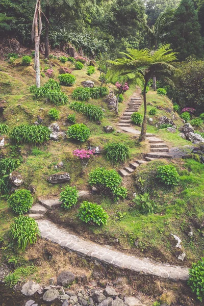 Puutarha Sao Miguel saarella, Azoreilla. Se sijaitsee keskellä — kuvapankkivalokuva