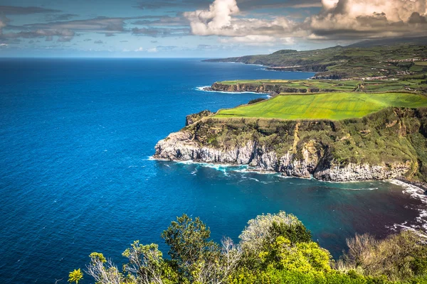 Green island in the Atlantic Ocean, Sao Miguel, Azores, Portugal — Stock Photo, Image