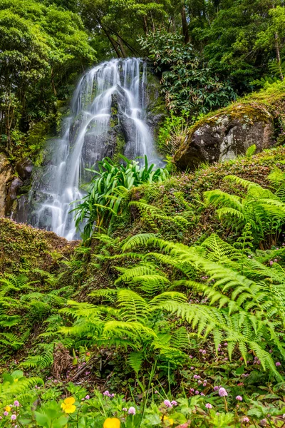 Beroemde trapsgewijs op Sao Miguel Island, Azoren, Portugal — Stockfoto