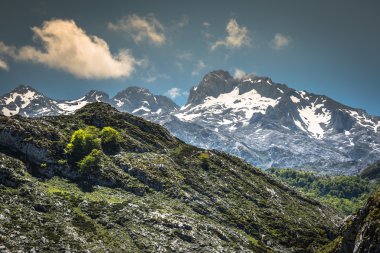 Picos de Europa dağlar, Cantabria (İspanya)
