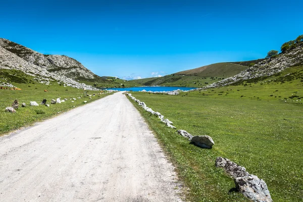 Krajina kolem jezera Enol, jeden z slavných jezer Covadong — Stock fotografie