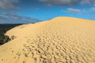 Pile büyük Dune en yüksek kumul Avrupa'da, Arcachon ba