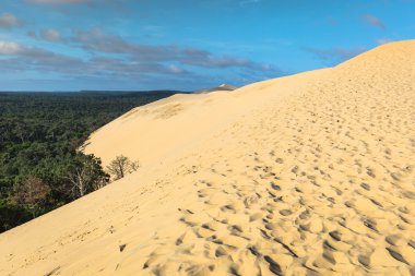 Pile büyük Dune en yüksek kumul Avrupa'da, Arcachon ba