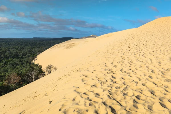 Velká Duna Pyla, nejvyšší písečné duny v Evropě, Arcachon ba — Stock fotografie