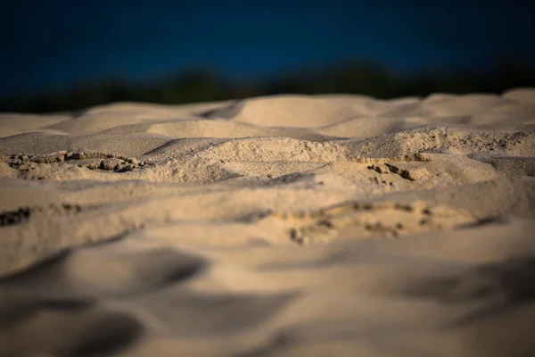 Sand waves on the highest dune in Europe - Dune of Pyla (Pilat), — Stock Photo, Image