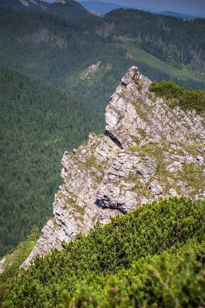 하이킹 코스에서 tatra 산맥의 보기입니다. 폴란드. 유럽. — 스톡 사진