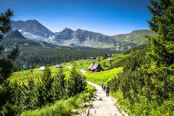 Uitzicht op tatra bergen van het wandelpad. Polen. Europa. — Stockfoto