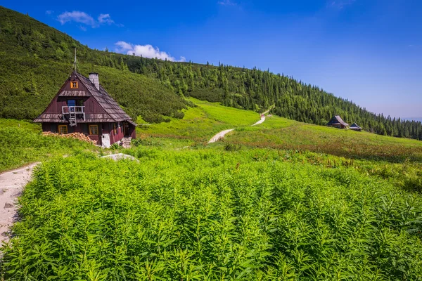 哈拉 Gasienicowa(Valey Gasienicowa) Zakopa 在 Tatra 山脉 — 图库照片