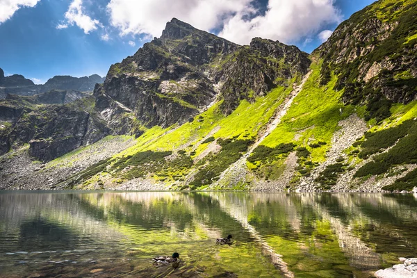 Hermoso paisaje de estanque negro Gasienicowy en las montañas de Tatra —  Fotos de Stock
