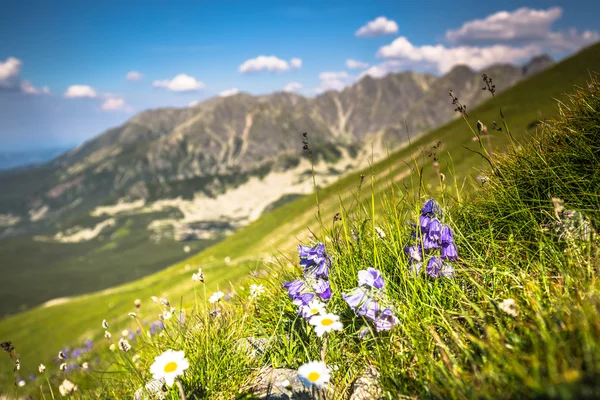 Blick vom Kasprowy-Wierch-Gipfel in der polnischen Tatra — Stockfoto