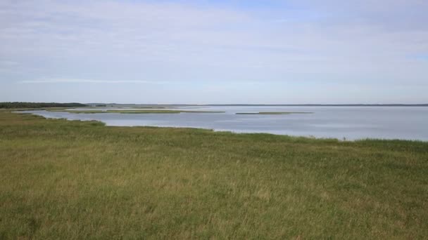 Lebsko Lake in Slowinski Nationaal Park. Polen. — Stockvideo