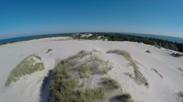 Повітряних кадри Slowinski Національний парк в Польщі - скошування дюни — стокове відео