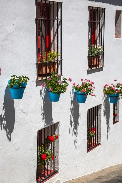 Calle con flores en Madrid, España —  Fotos de Stock