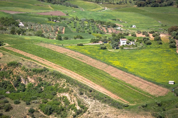 Krajobraz Andaluzji, wsi droga i rock w Ronda, Hiszpania — Zdjęcie stockowe