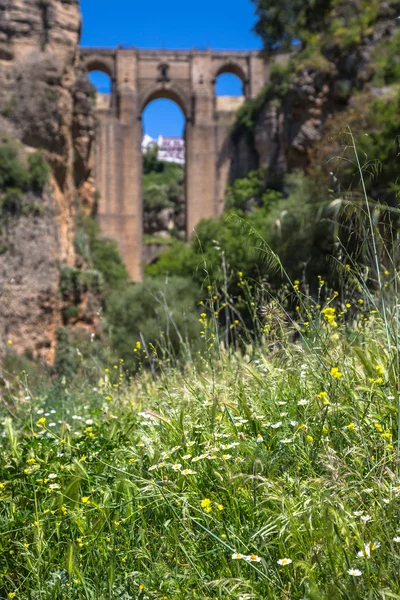 Most z Ronda, jedna z nejslavnějších bílých vesnic Malaga — Stock fotografie