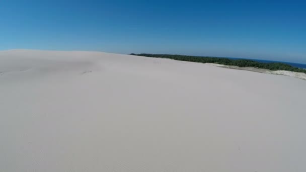 Luchtfoto beeldmateriaal van het Slowinski Nationaal Park in Polen - maaien van duinen — Stockvideo