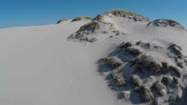 Luchtfoto beeldmateriaal van het Slowinski Nationaal Park in Polen - maaien van duinen — Stockvideo