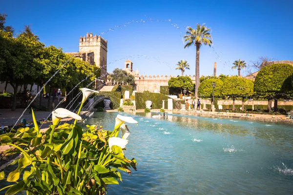 Den berömda alcazar med vacker trädgård i cordoba, Spanien — Stockfoto