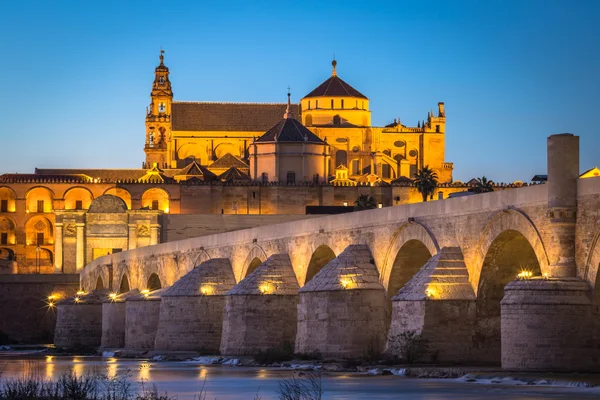 Vista nocturna de Mezquita-Catedral y Puente Romano - Mezquita-Cathe — Foto de Stock