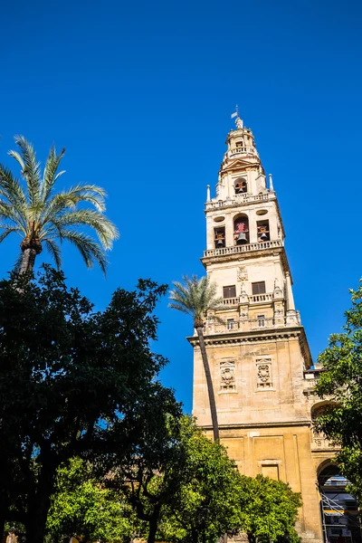 Klocktornet på Mezquita-moskén & katedralen i Cordoba, Sp — Stockfoto