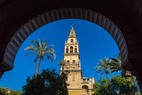 El campanario en la mezquita y catedral de Córdoba, Sp — Foto de Stock