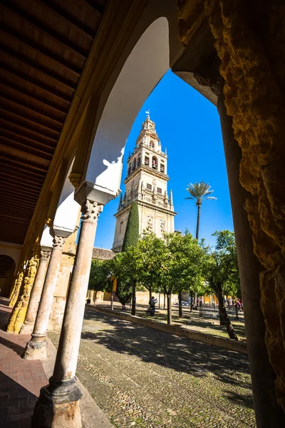 De klokkentoren bij de kathedraal in Cordoba, Sp & Mezquita-moskee — Stockfoto